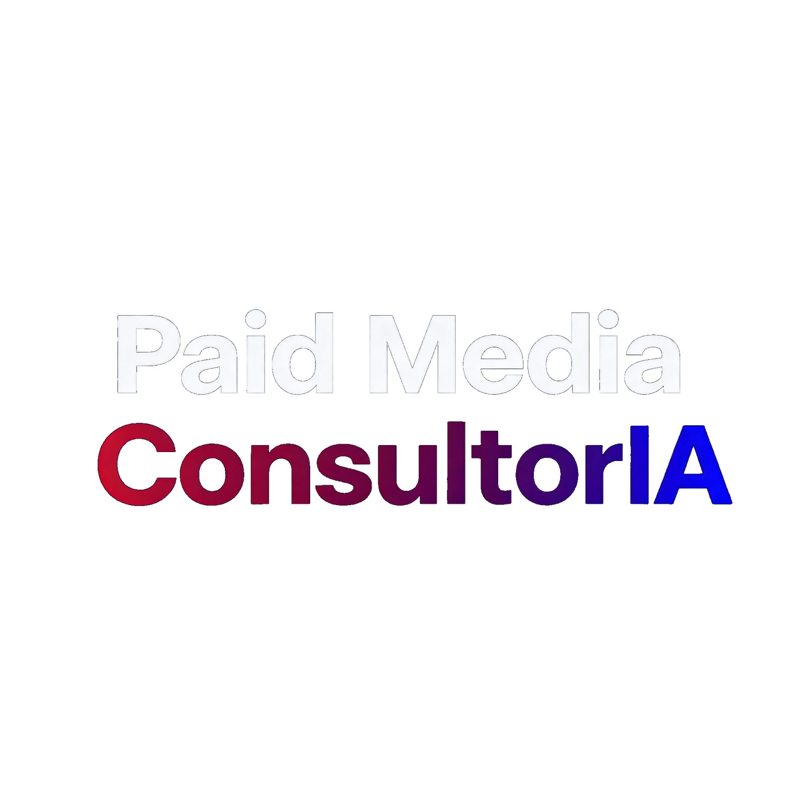 Consultoría Paid Media